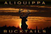 Aliquippa Bucktails