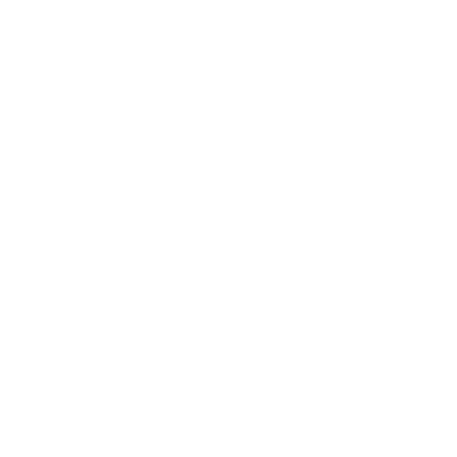 Main Street Guns & Range
