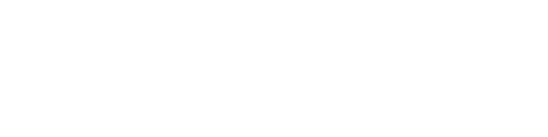 Spring Guns & Ammo