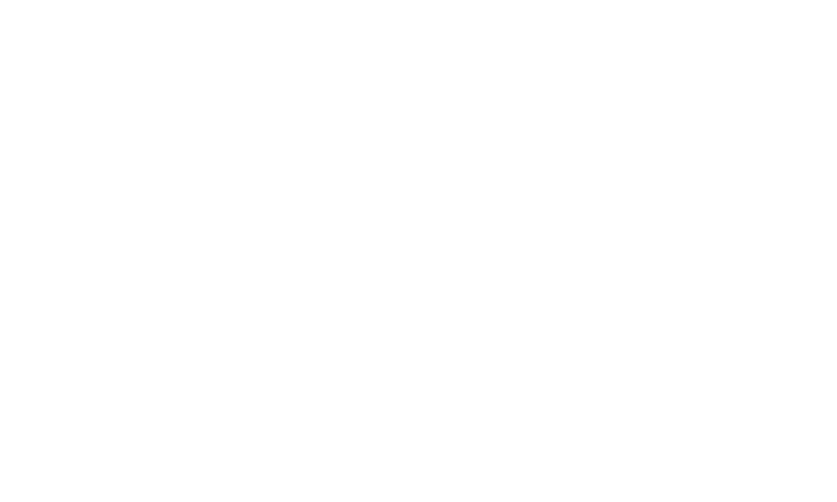 Wyoming Gun Company